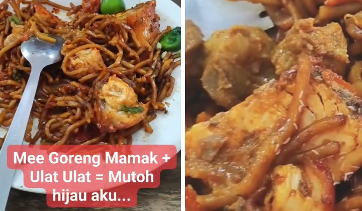 [watch] maggot discovery in mee goreng mamak raises food safety alarms