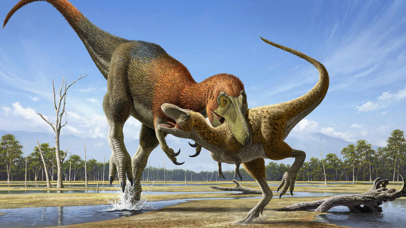 quiz. czy ten dinozaur był mięsożerny? 100% zdobędzie prawdziwy fan prehistorii