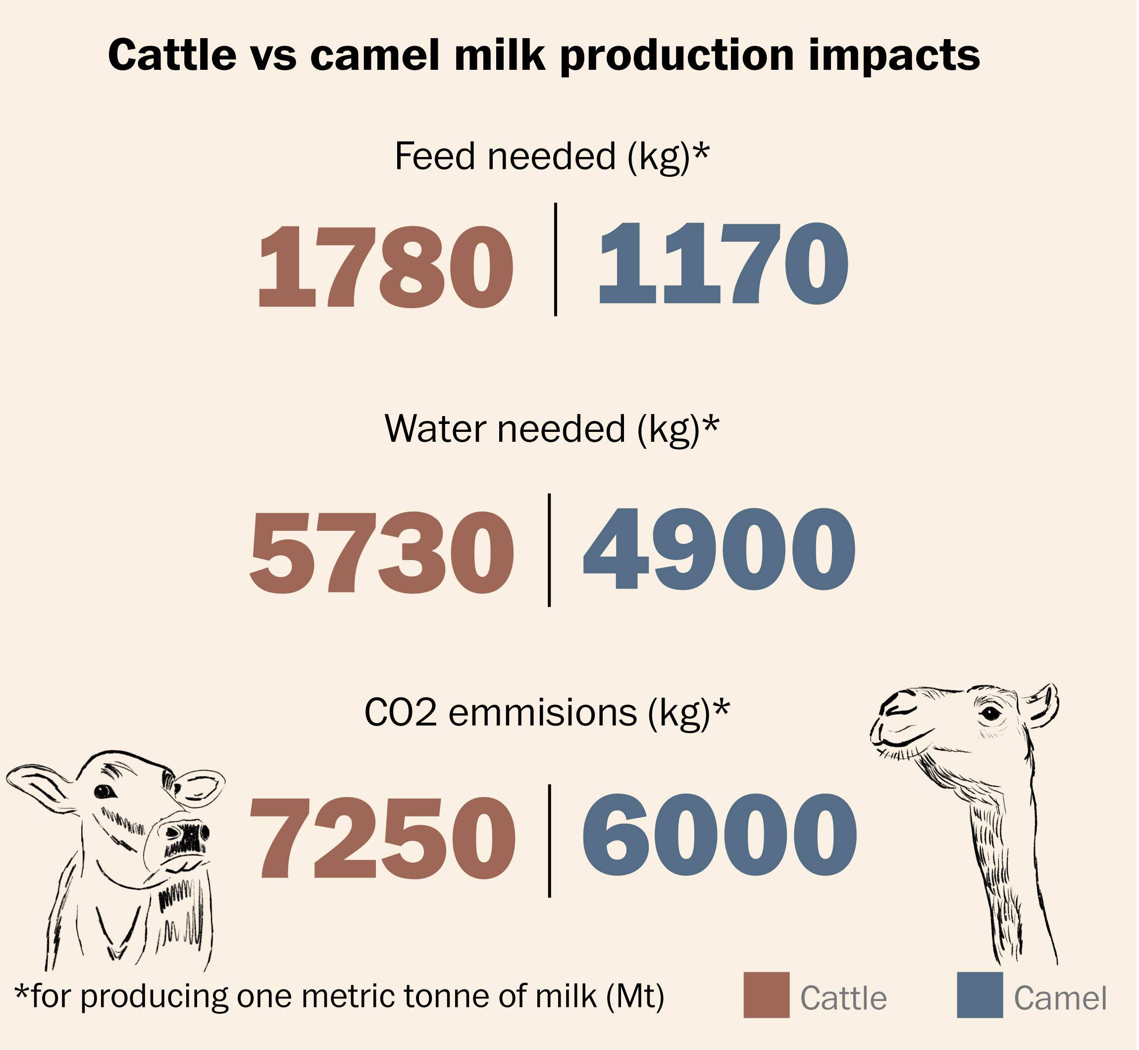 how climate change is turning camels into the new cows