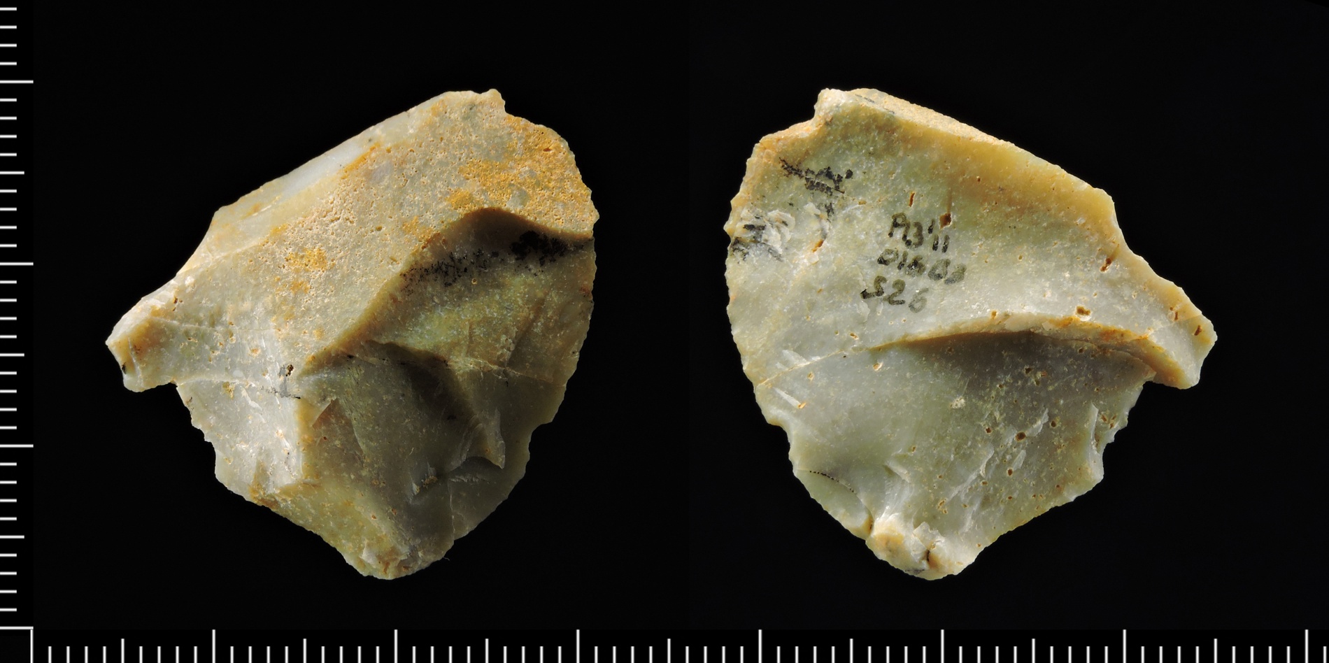 las dataciones rebajan a 800.000 años la antigüedad del yacimiento italiano de pirro nord