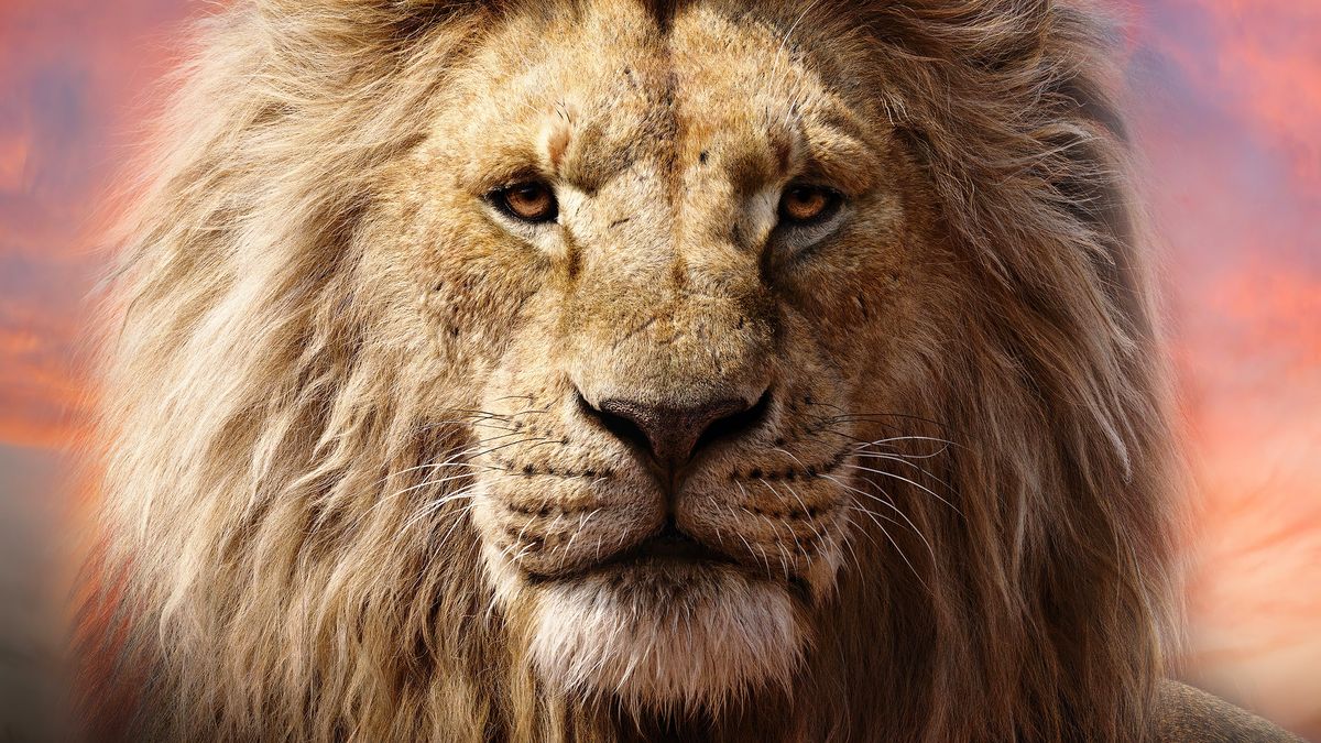 'mufasa: el rey león': fecha de estreno, sinopsis, reparto de voces y todo lo que sabemos de la precuela de disney