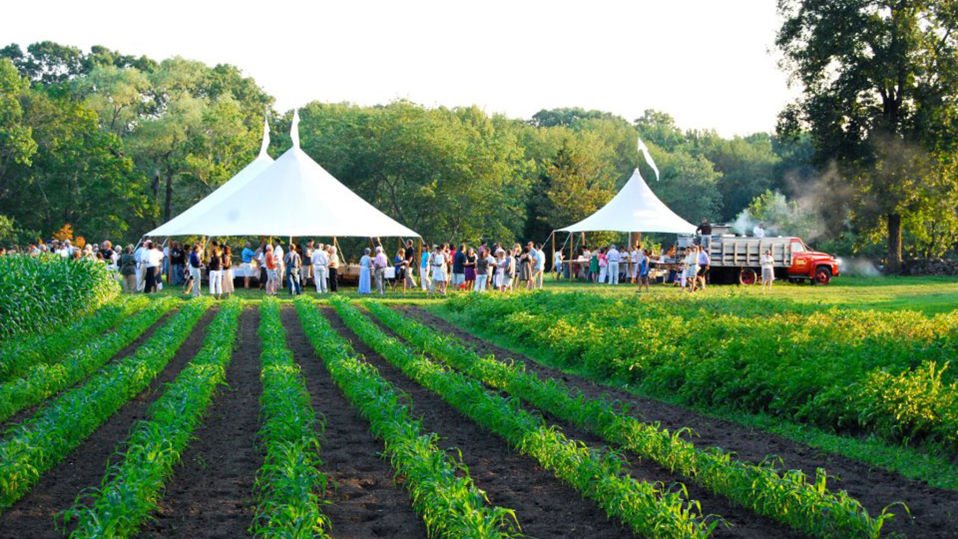 Best farms. Ферма «Farm-to-Table» Княжево. From Farm to Table — «с фермы на стол». Ферма Hillendale Farms в Коннектикуте загорелась. From the Farm to your Table.