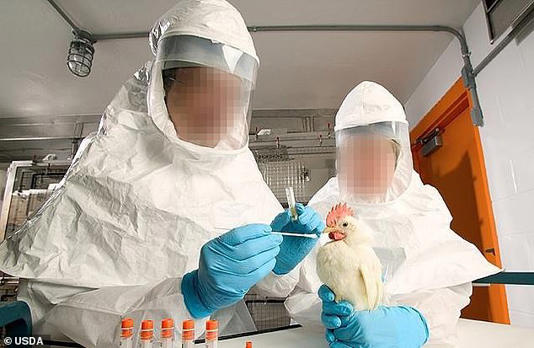 白大褂废物项目获得了上述照片，并声称它显示了美国农业部实验室内的动物实验人员，该实验室正在与中国科学家合作进行禽流感研究