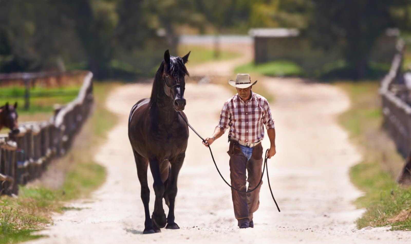 <p class="wp-caption-text">Image Credit: Shutterstock / PeopleImages.com – Yuri A</p>  <p><span>Yes, it’s a thing. It’s where the soul of the cowboy is put into words, proving that tough guys do, in fact, write poetry.</span></p>