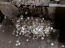 Americans Throw Away Up to $68 Million in Coins a Year. Here Is Where It All Ends Up.<br><br>