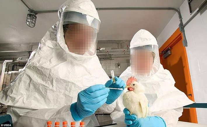 美国和中国实验室制造致命病毒被揭露的愤怒