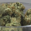 Legal marijuana on sale in South Dakota<br>