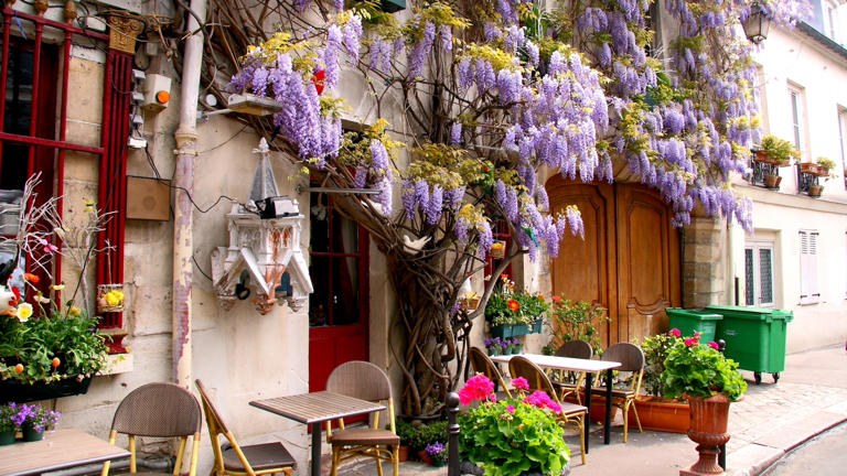 8 spots où voir les plus belles glycines de Paris