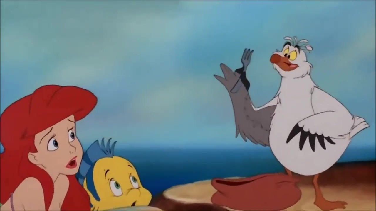 <p>                     Sure Scuttle doesn’t know what he’s talking about half the time in <em>The Little Mermaid</em>, but the seagull and friend of Ariel helps the young princess learn more about the human world before helping in a big way when he discovers that Vanessa is actually Ursula in disguise.                   </p>