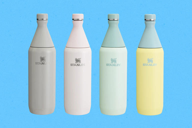 Stanley just released the All Day Slim Bottle, and it's the perfect ...