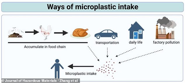 microplastics are now found in brains and gallstones