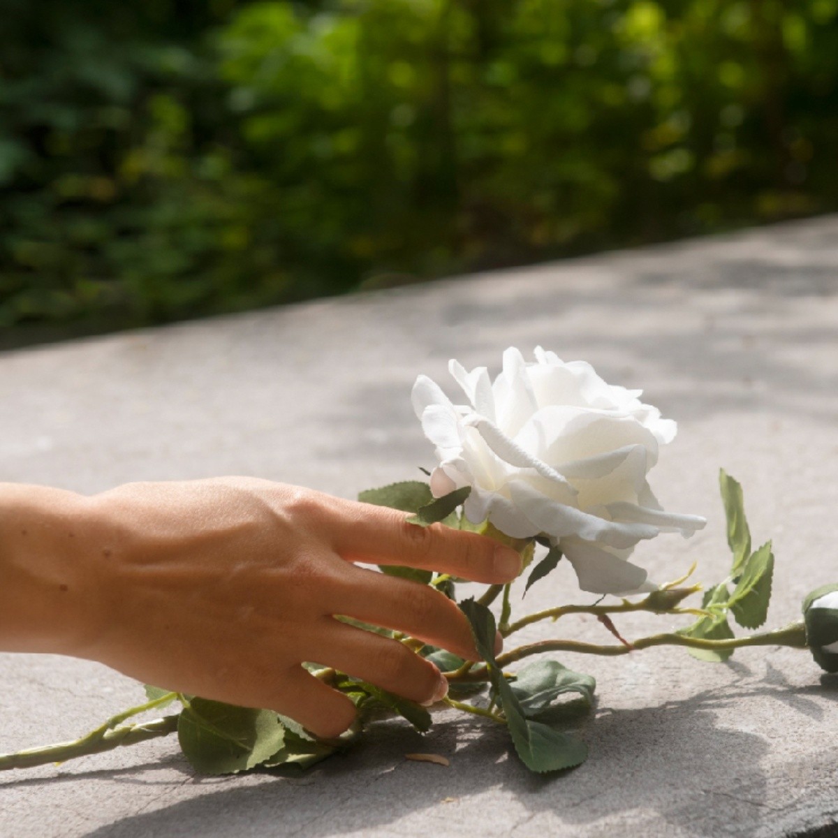 ¿por qué vemos a seres queridos fallecidos antes de morir? un médico investiga este fenómeno
