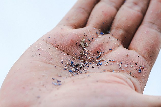 microplastics are now found in brains and gallstones