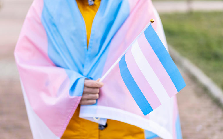 Sweden joins a number of European countries that have lowered the minimum age to change legal gender - VLADIMIR VLADIMIROV/E+