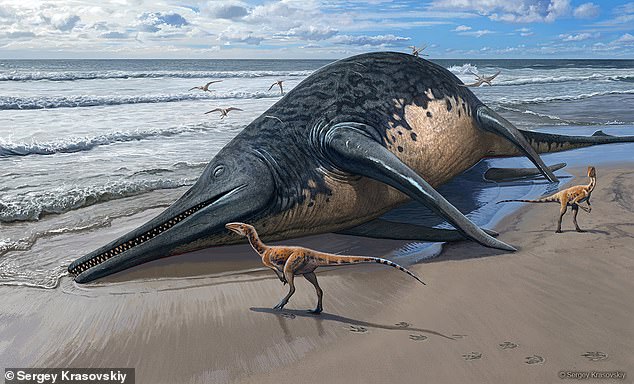 huge sea monster twice the size of bus roamed somerset 200m years ago