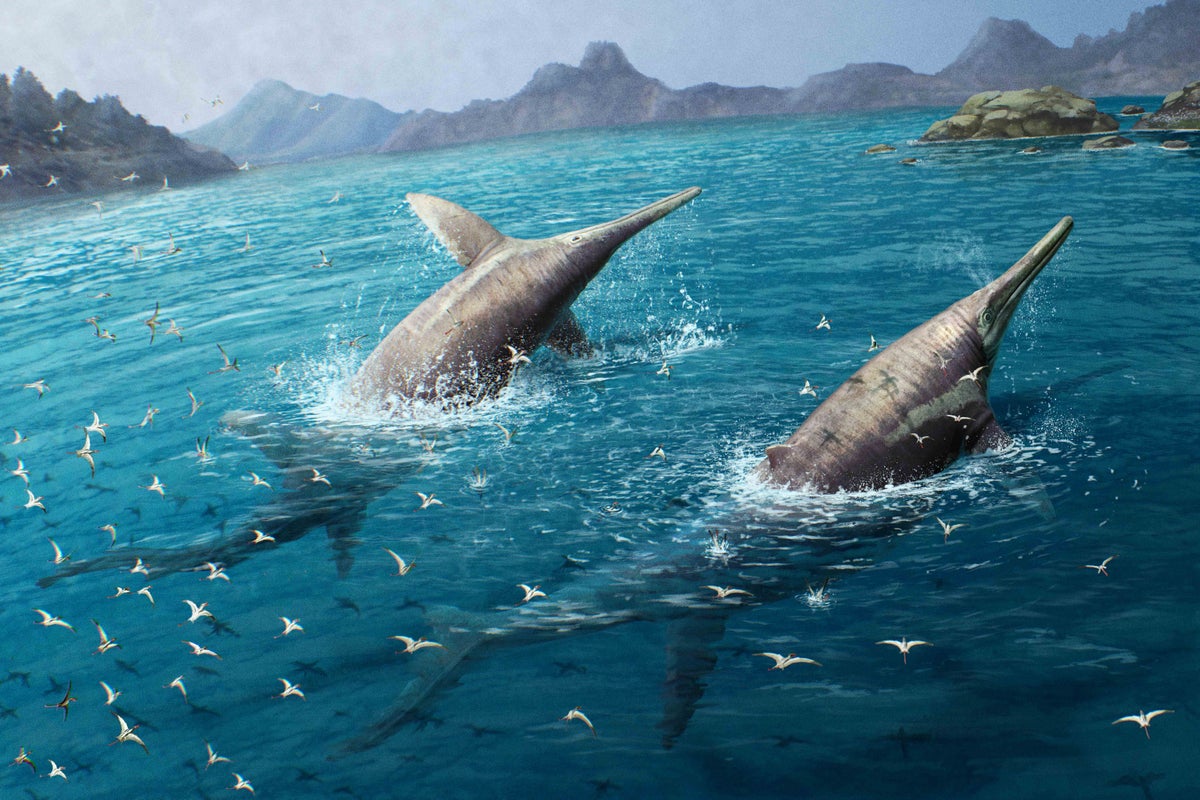 researchers identify ichthyosaur that may be the largest known marine reptile
