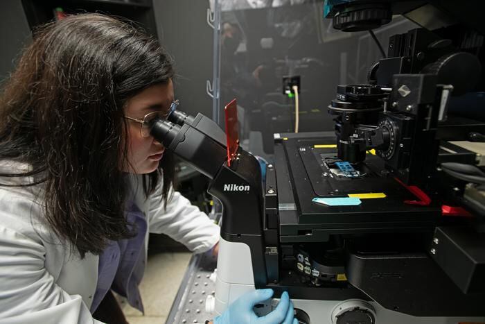 “vampirismo bacteriano”: científicos descubren que muchas bacterias comunes se alimentan de sangre humana