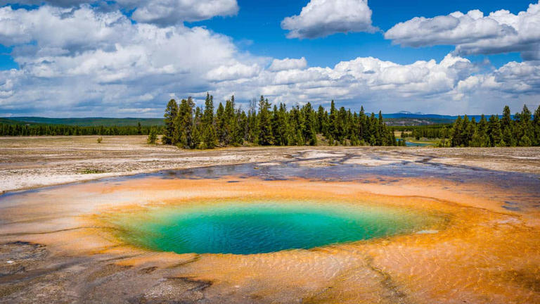 Searching for the best Yellowstone Tours from Jackson Hole, Wyoming? Well then, this list is for you! As a...