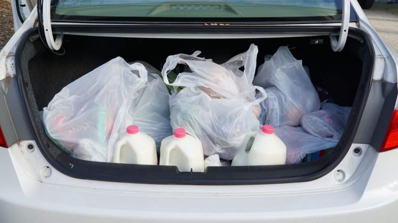 <p>For years, the war on plastic bags has raged on, fueled by concerns for the environment. Advocates for a greener future have pushed for a total ban, urging people to ditch them in favor of supposedly eco-friendly alternatives. </p> <p>But a new study from the UK threw a curveball. Researchers from the UK claim that plastic bags and other commonly used plastic products actually have a lower greenhouse gas footprint than many of their alternatives. Here’s the full story.</p>