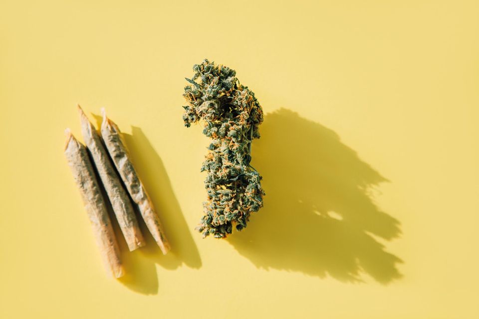 gras für die gesundheit: wie bekommt man cannabis auf rezept?
