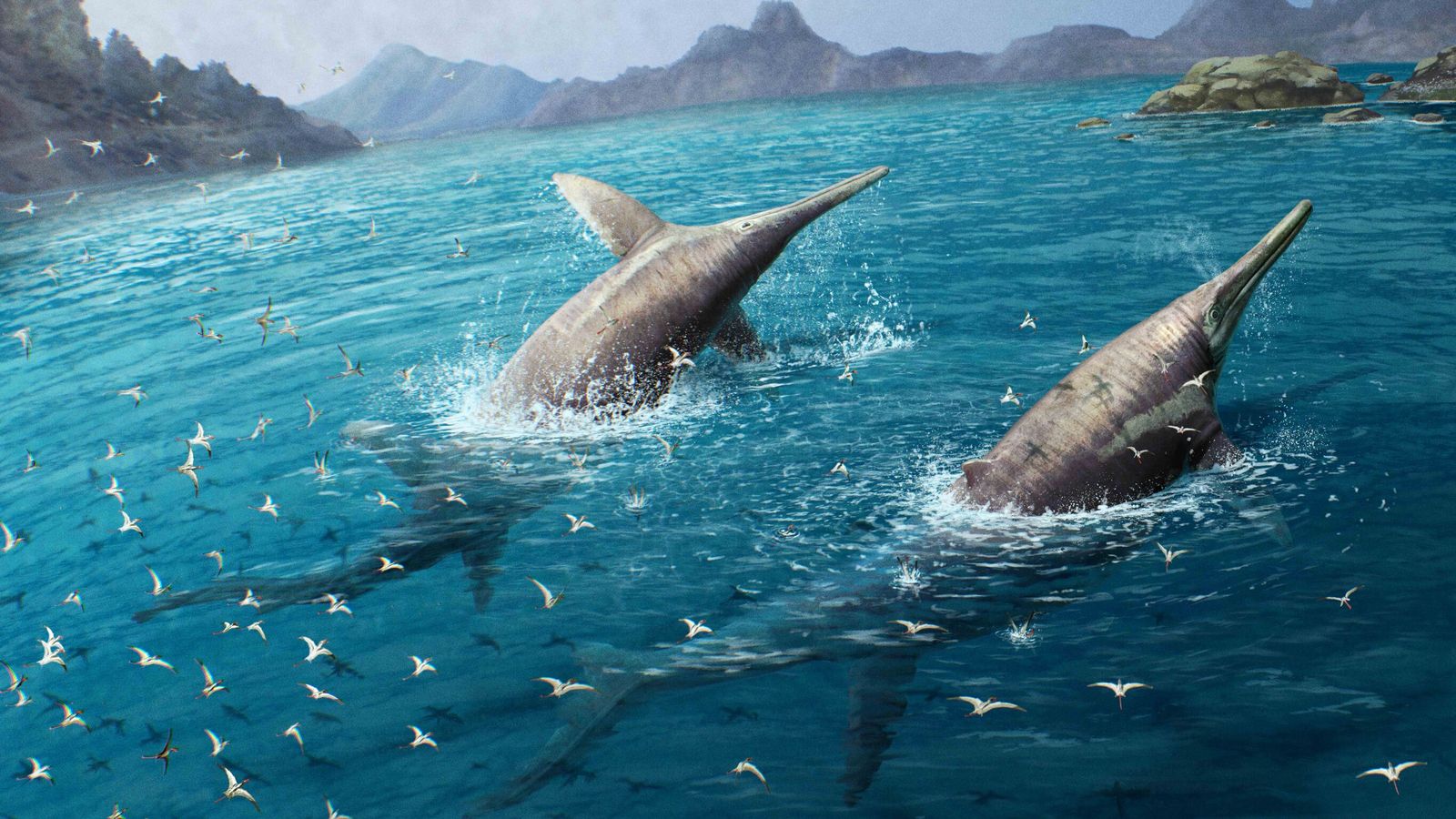 bone discovered of what may be largest known marine reptile
