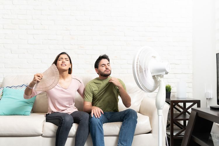 6 cara menjaga rumah tetap sejuk dan nyaman saat cuaca panas