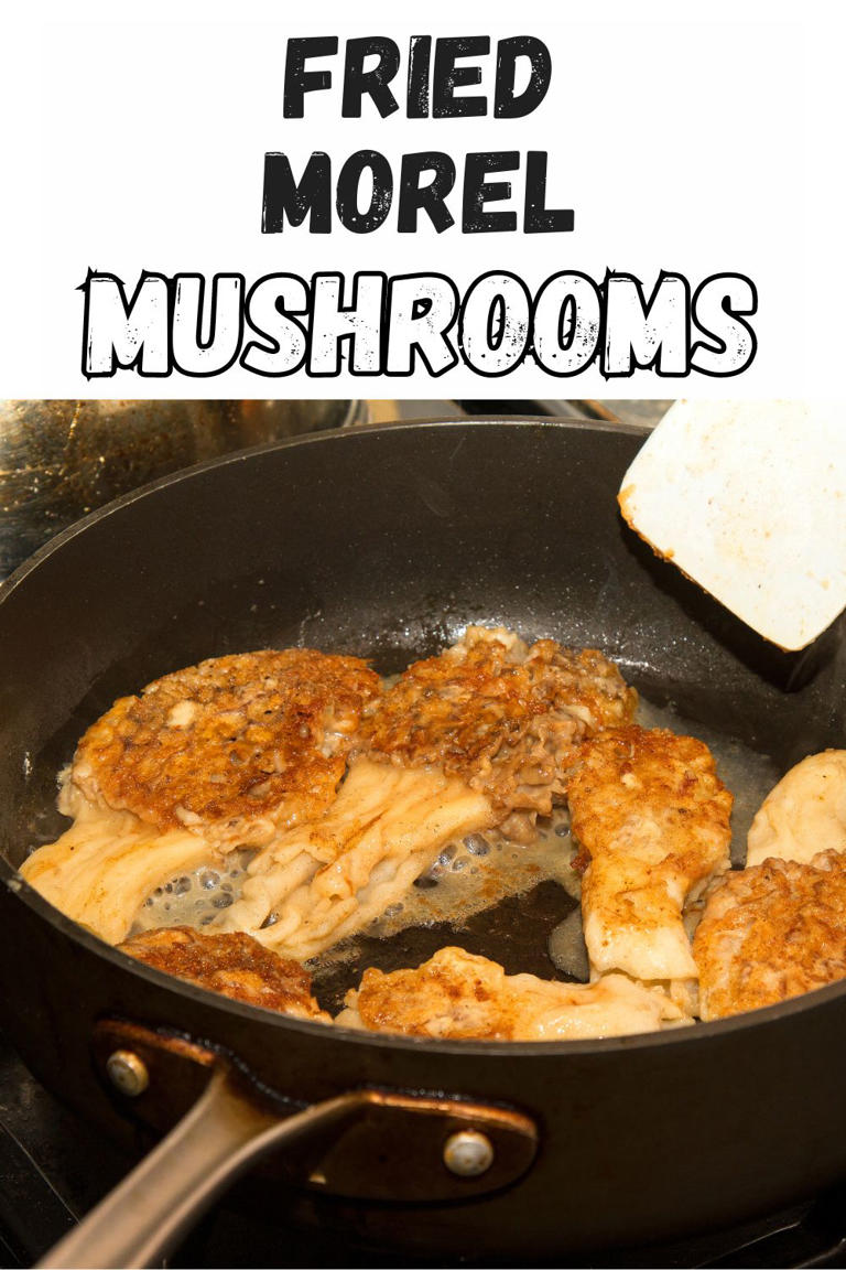 Simple Recipe For Fried Morel Mushrooms