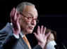 Senate Democrats kill both articles of impeachment against DHS Secretary Mayorkas<br><br>