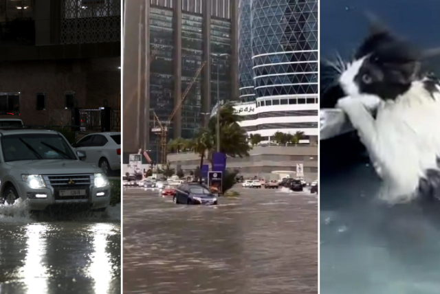 impactantes imágenes que dejó la tormenta en dubái: gato fue rescatado por un policía