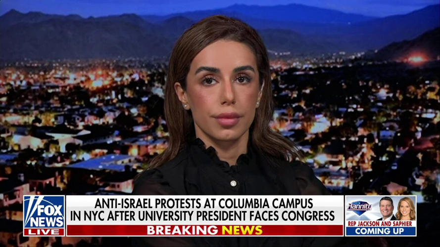 Iranian-American lawyer whose response to anti-Israel protesters went viral predicts new 
