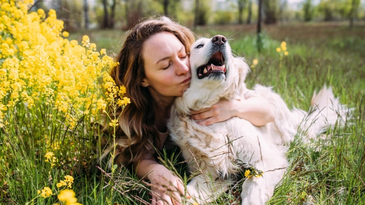 <p>These are just a few of the cutest dog breeds that could bring joy and laughter into your life. If you’re looking for a new furry friend, one of these breeds might just steal your heart with its irresistible charm. </p> <p><a href="https://thenatureofhome.com/dog-breeds-all-types-121564/">Each dog breed</a> has its own unique qualities, but they all have one thing in common—they’re absolutely adorable!</p>