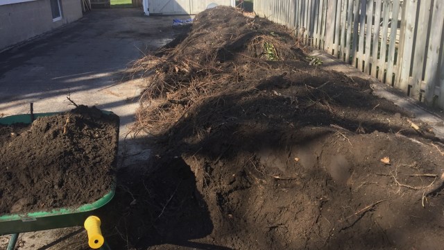 gardener raises concern after examining new order of soil: 'make sure it's not contaminated with herbicides or anything'
