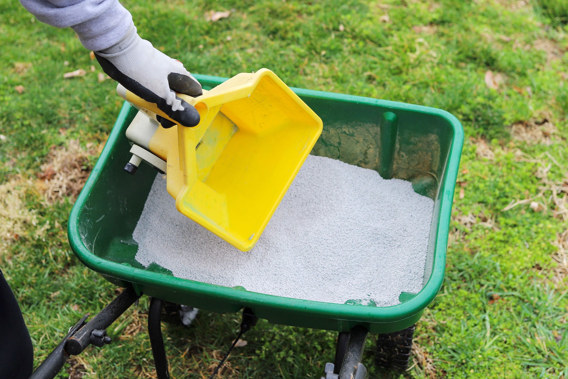 19 Things You Should Never Do To Your Lawn