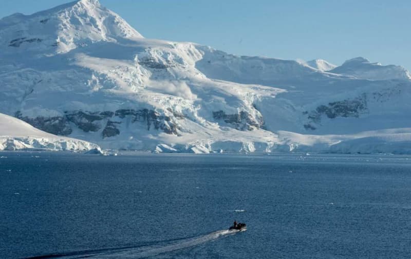 uncharted wonders: ukrainian polar explorers unveil photo of rare whale