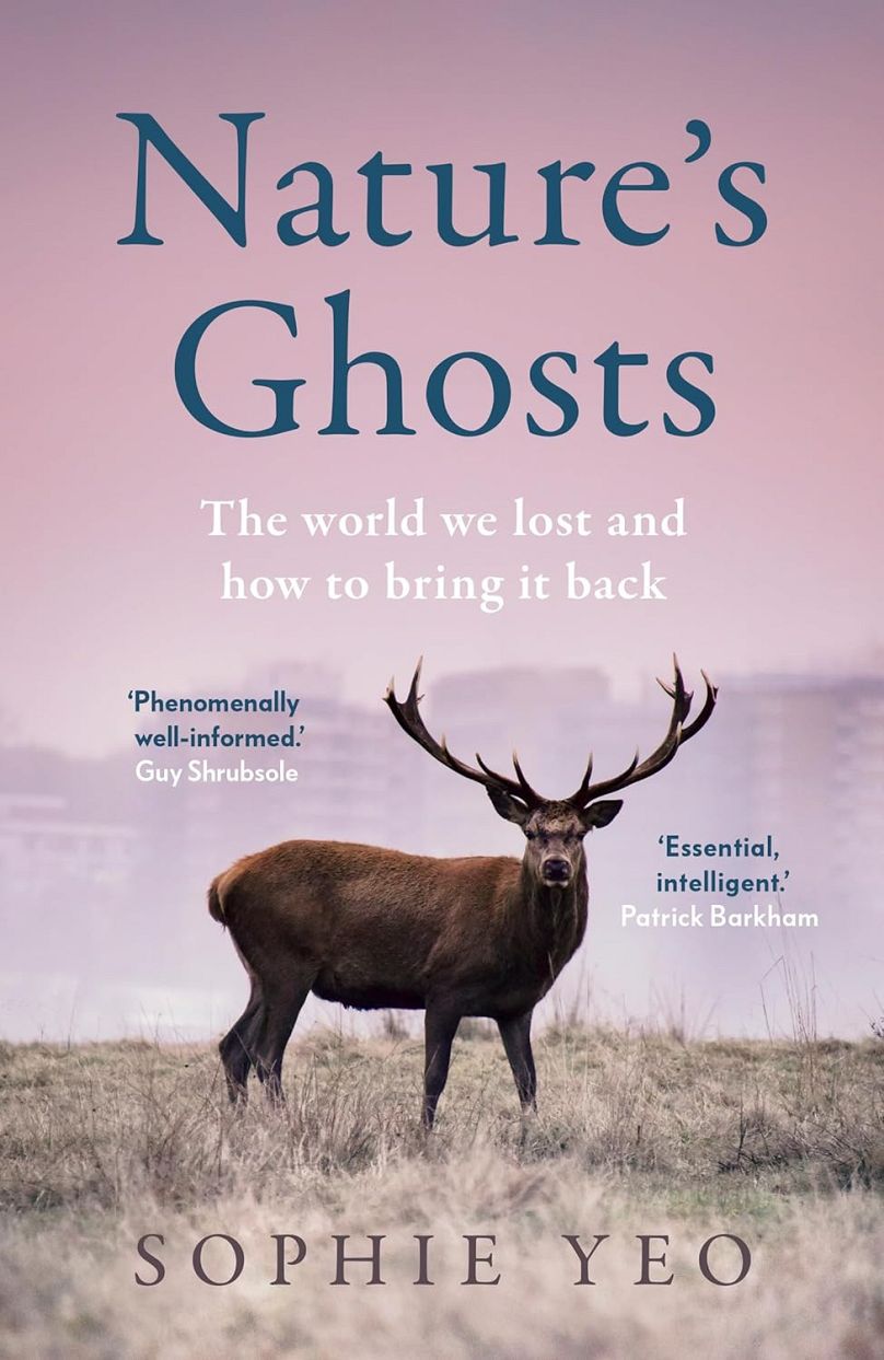 are humans a ‘keystone species’? this captivating new book rethinks our role in rewilding