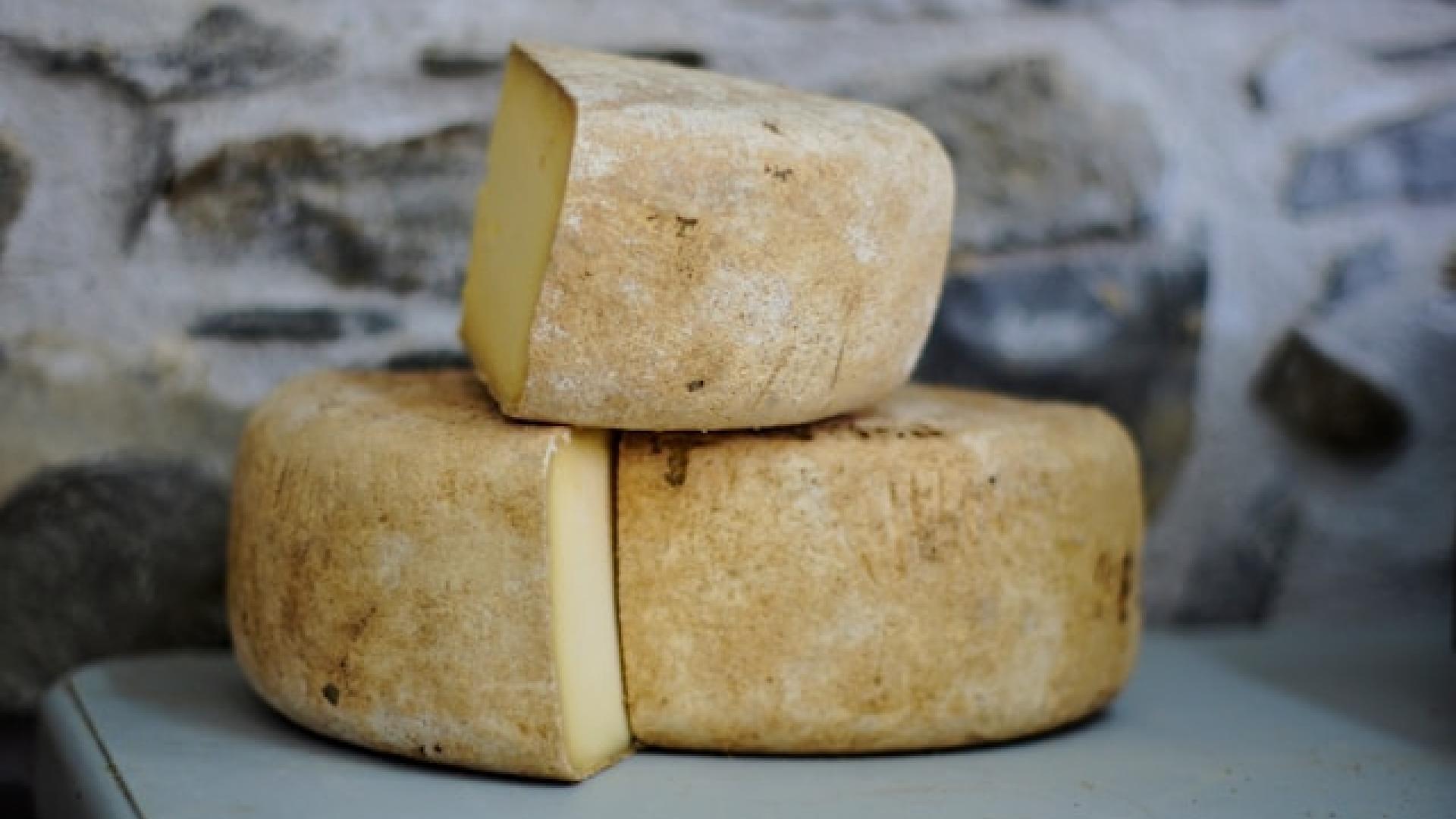 este es el mejor queso de españa 2024: hecho de manera sostenible en una quesería de las islas canarias