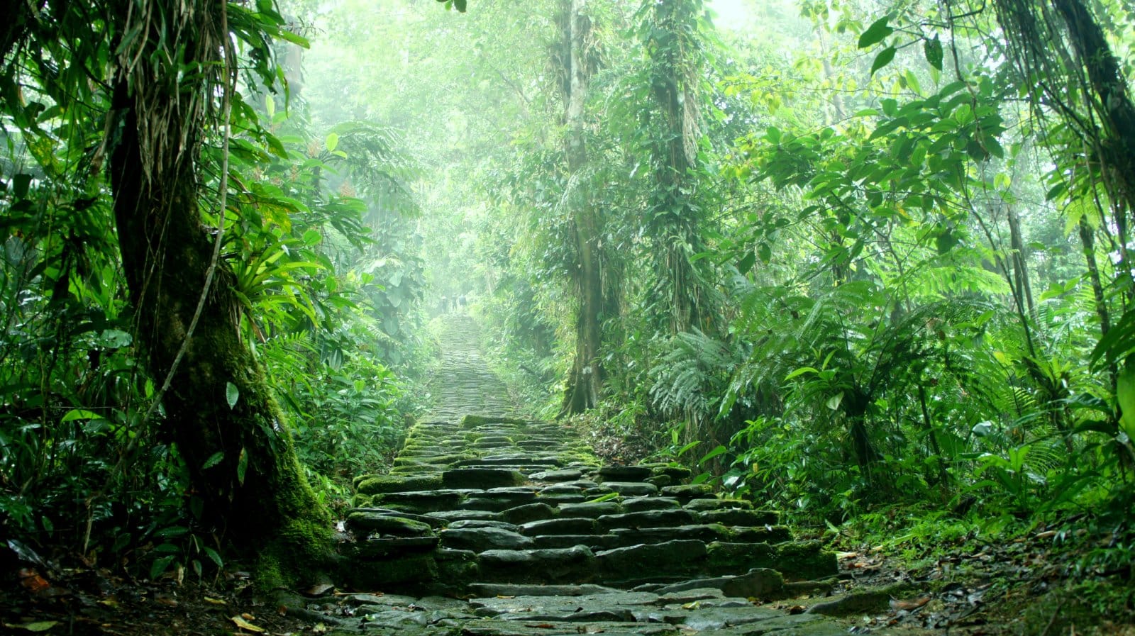 <p class="wp-caption-text">Image Credit: Shutterstock / dunn4040</p>  <p>Embark on a challenging trek through the dense jungles of Colombia to reach the ancient ruins of Ciudad Perdida, the “Lost City” of the Tayrona civilization. Discover hidden terraces, ceremonial plazas, and intricate stone carvings as you unravel the mysteries of this archaeological wonder hidden deep in the Sierra Nevada mountains.</p>