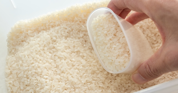 신선한 밥맛 오래 유지하는 가장 좋은 쌀 보관법
