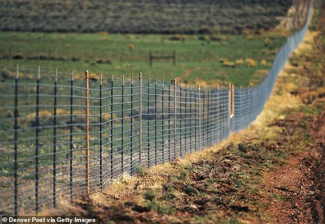 texas oil baron's son builds fence on $105m ranch to keep out locals
