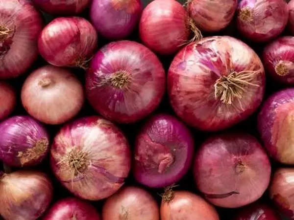export ban lifted in maharashtra onion belt