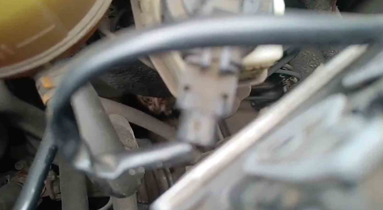 yalova’da araç motoruna giren kediyi itfaiye kurtardı