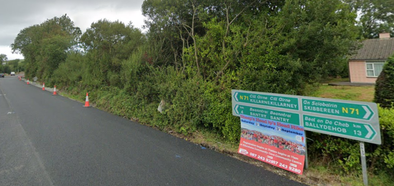 driver arrested after teenage girl dies in single-vehicle crash in co wicklow