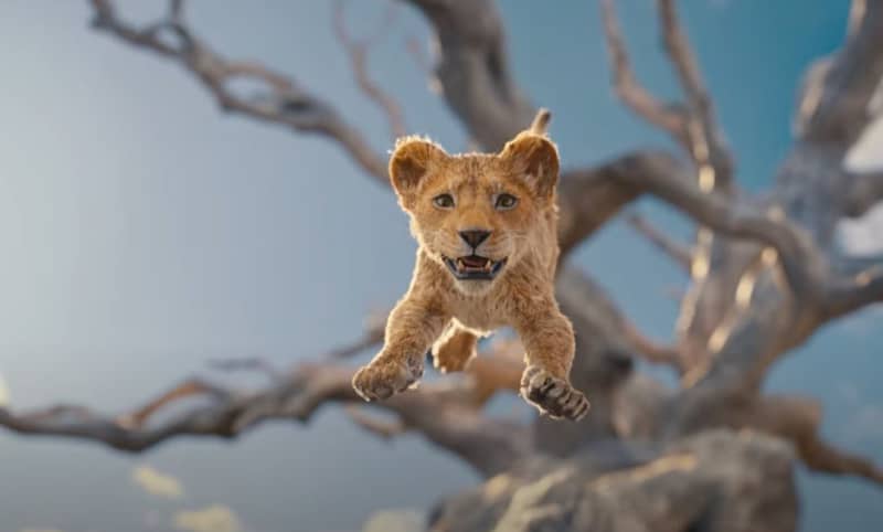 „könig der löwen“-saga geht 2024 weiter: erster „mufasa“-trailer versprüht disney-magie