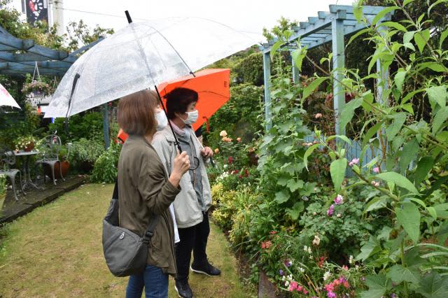 ガーデニングこつ学ぶ 宮崎市で愛好家の庭見学会