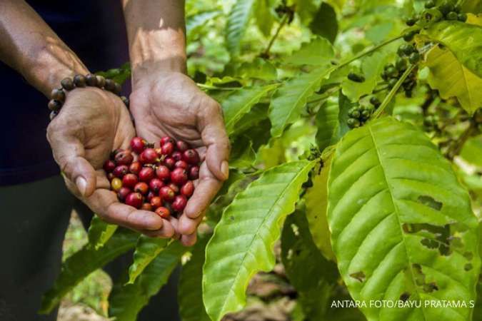 indonesia bakal jadi tuan rumah world of coffee 2025