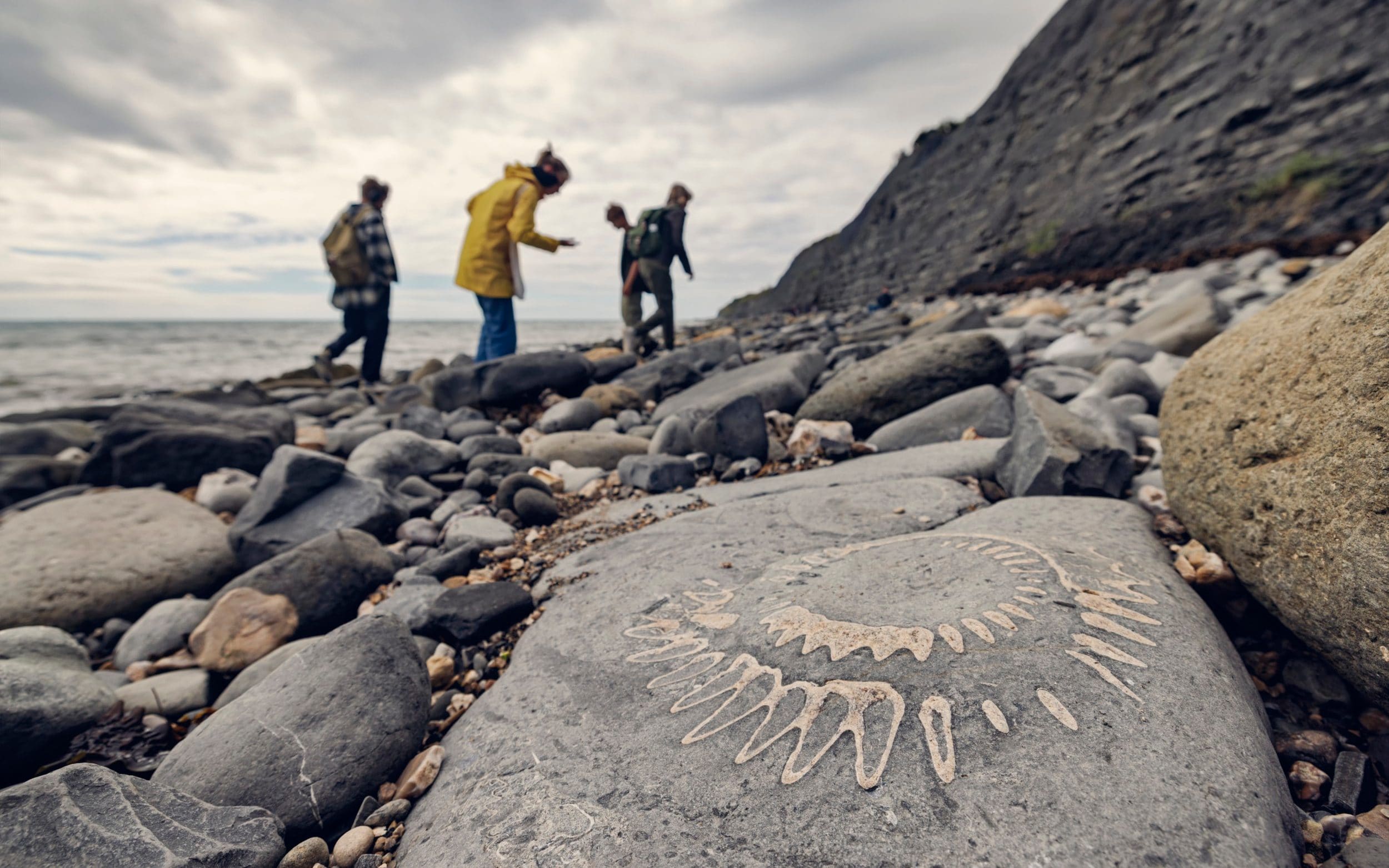 the best places to go fossil hunting in britain