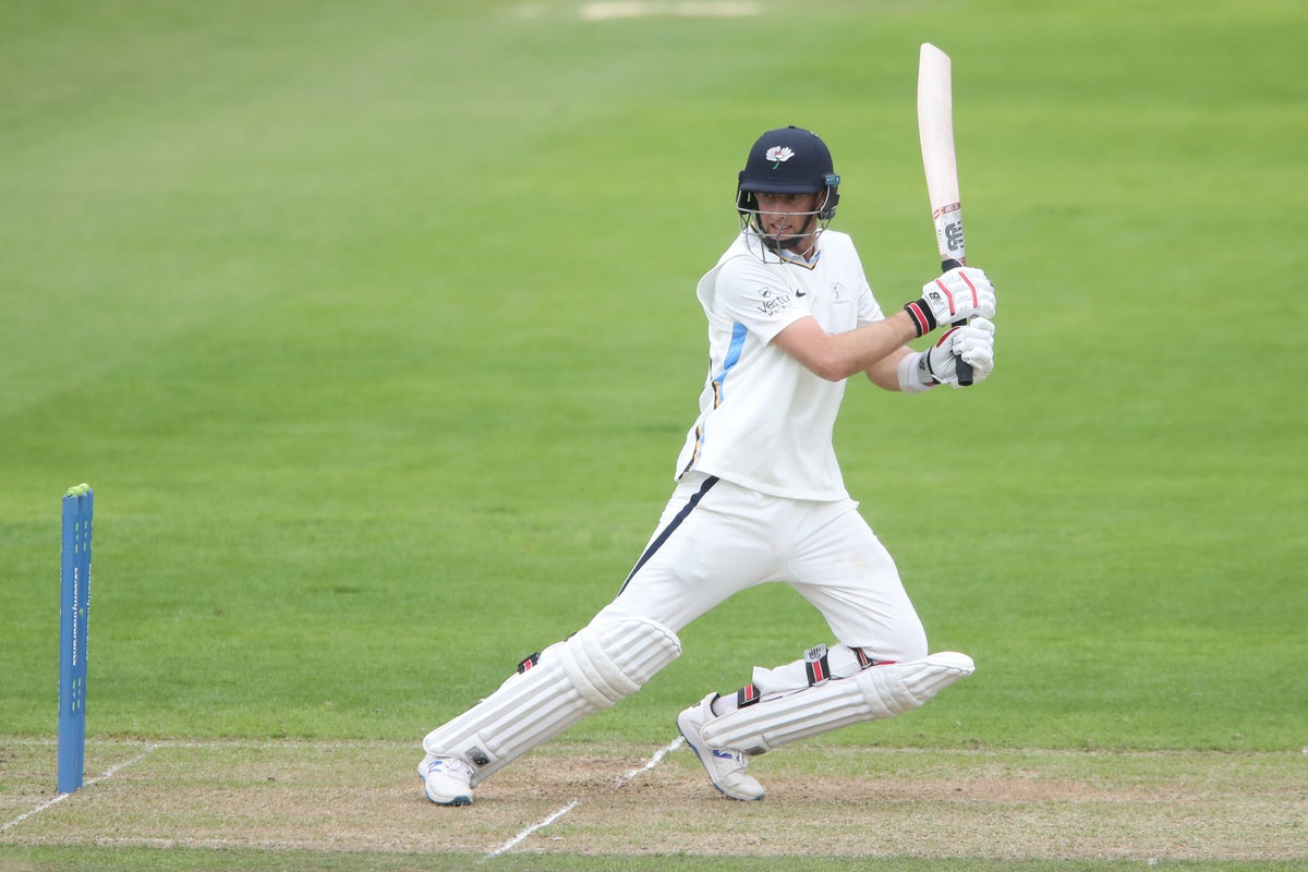 joe root and finlay bean lead yorkshire push for victory against glamorgan