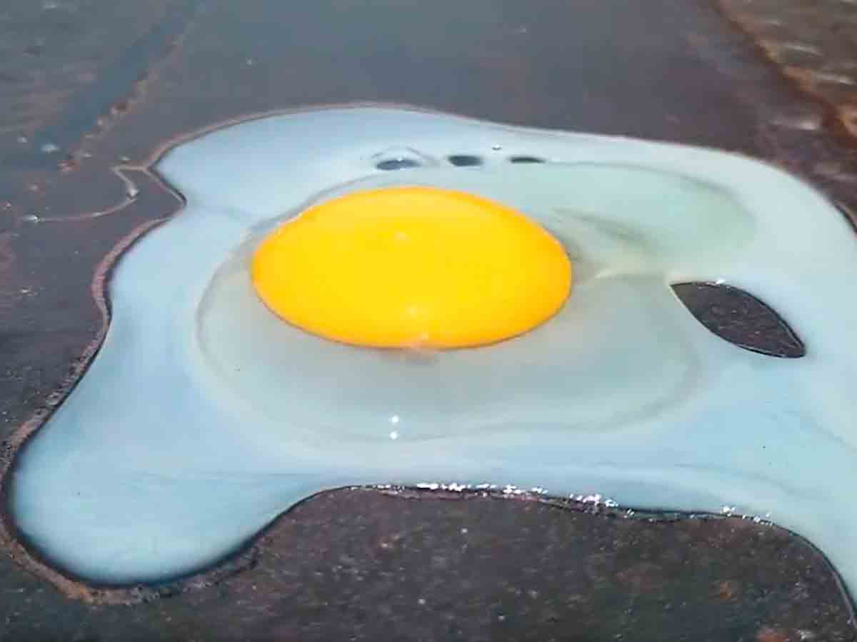 así se coció un huevo en el pavimento ante intensa ola de calor en veracruz