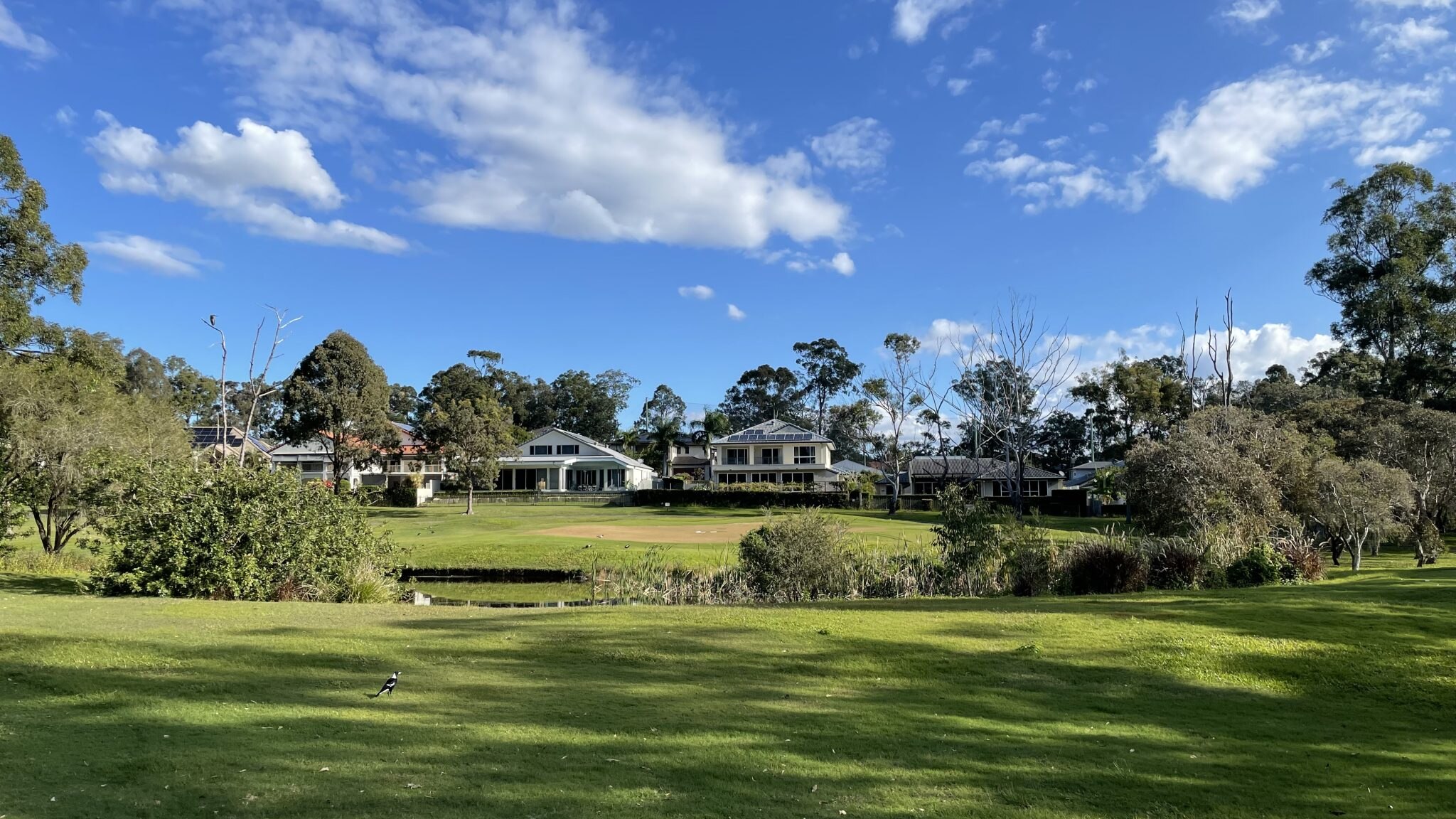 special override powers are proposed for this empty gold coast golf course. but experts say it doesn't guarantee housing