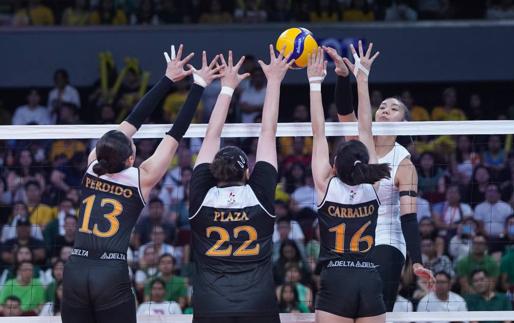 tigresses knock crown off lady spikers heads